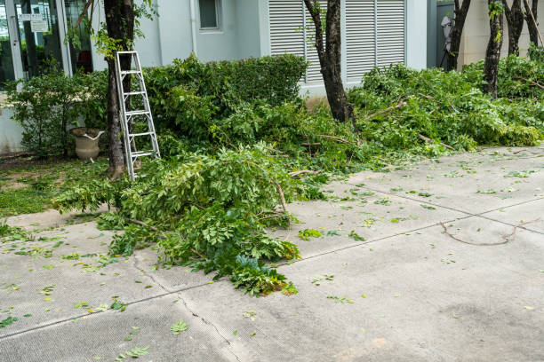 Best Hazardous Tree Removal  in Stonybrook, PA