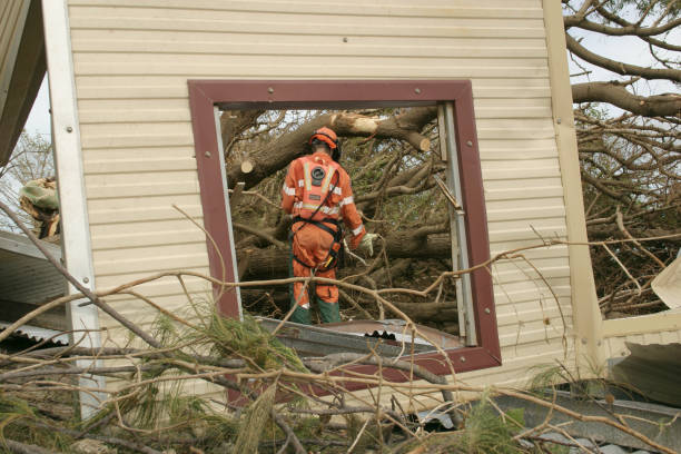 How Our Tree Care Process Works  in  Stonybrook, PA